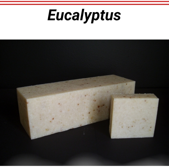 Homemade Eucalyptus Greek Yogurt Organic Soap - Picture 2 of 16
